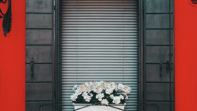 uploaded-image-bilisim-ve-goruntu-isleme-1697210593995