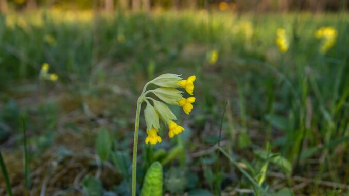 uploaded-image-veri-yedekleme-ve-felaket-kurtarma-dr-1697210469936